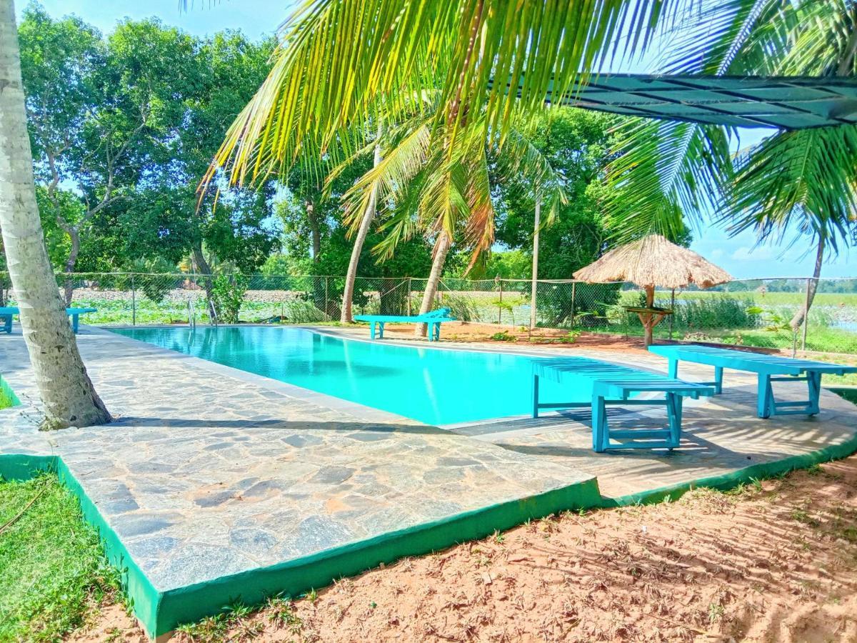 Lake Edge Holiday Inn Tissamaharama Εξωτερικό φωτογραφία